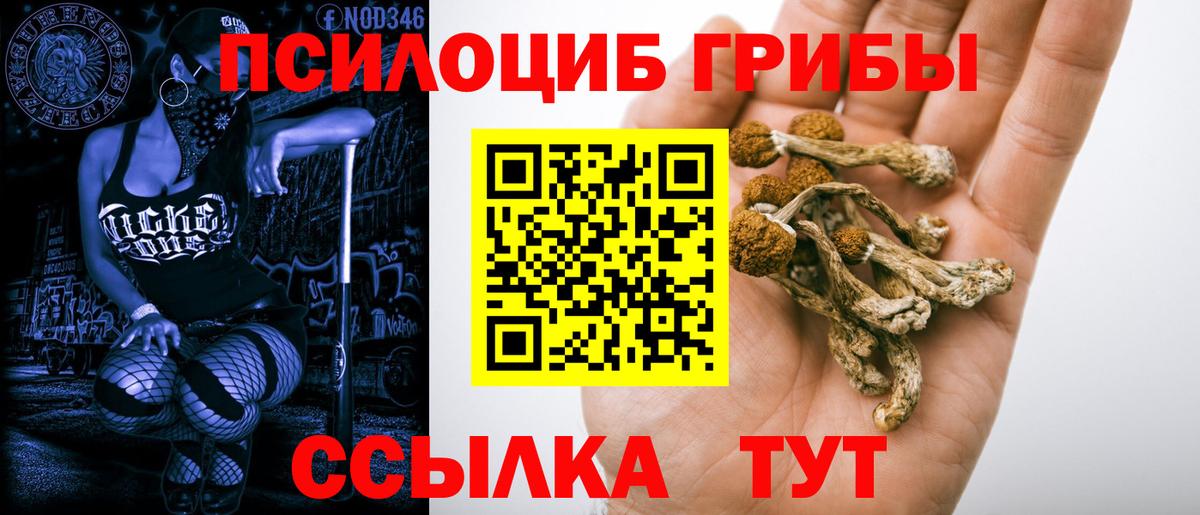 Галлюциногенные грибы прущие грибы Воронеж