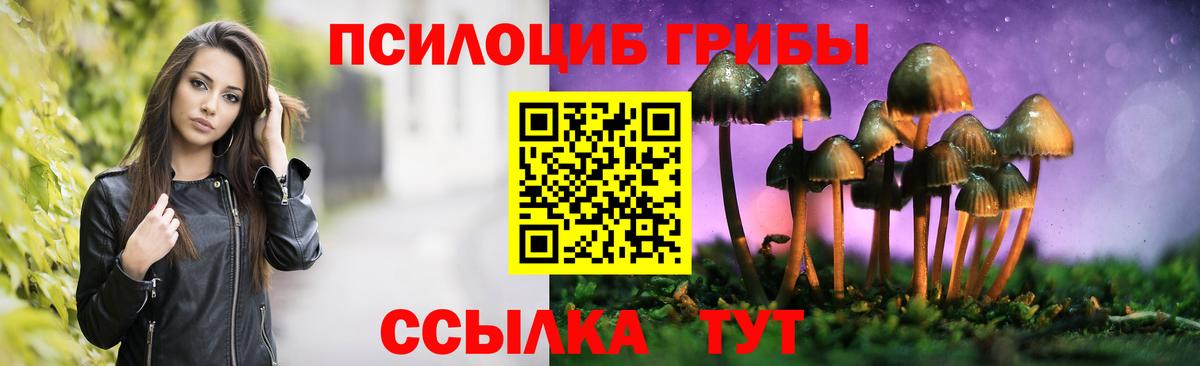Галлюциногенные грибы прущие грибы  Галлюциногенные грибы мицелий  Вход с VPN  Воронеж 